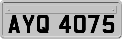 AYQ4075