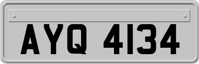AYQ4134