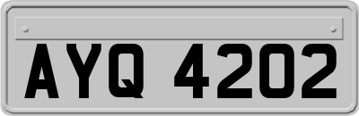 AYQ4202
