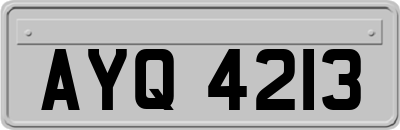 AYQ4213