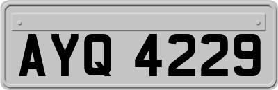 AYQ4229
