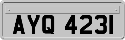 AYQ4231