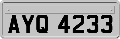 AYQ4233