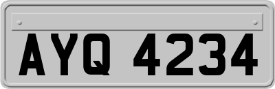 AYQ4234