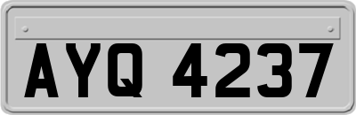 AYQ4237