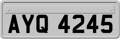 AYQ4245