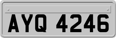 AYQ4246