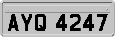 AYQ4247