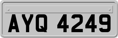 AYQ4249