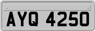 AYQ4250
