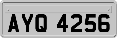 AYQ4256