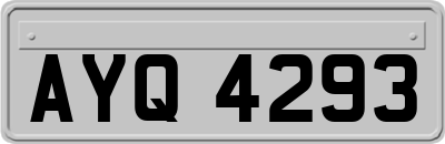 AYQ4293