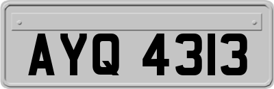 AYQ4313