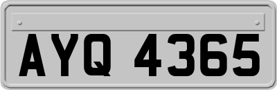 AYQ4365