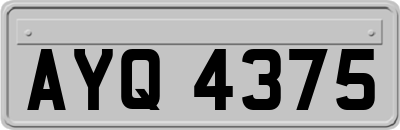 AYQ4375