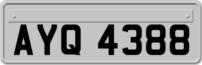 AYQ4388