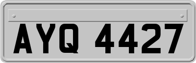 AYQ4427