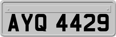 AYQ4429