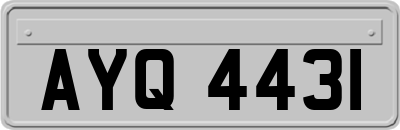 AYQ4431