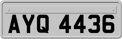 AYQ4436