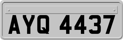 AYQ4437