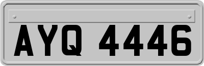 AYQ4446