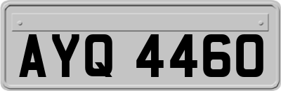 AYQ4460