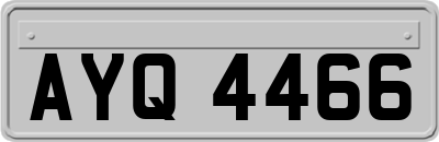 AYQ4466