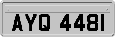 AYQ4481