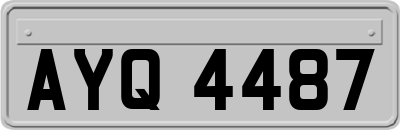 AYQ4487