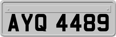 AYQ4489
