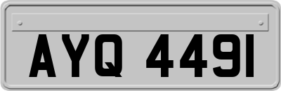 AYQ4491