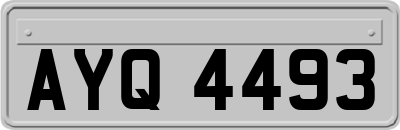 AYQ4493