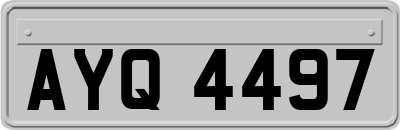 AYQ4497