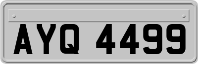 AYQ4499