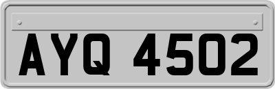 AYQ4502