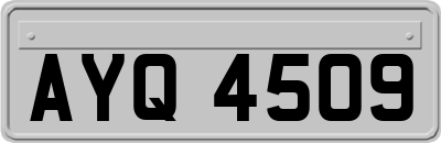 AYQ4509