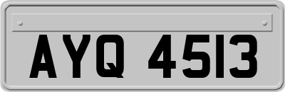 AYQ4513