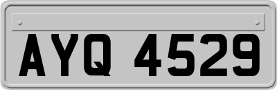 AYQ4529