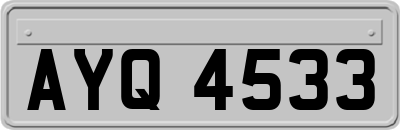 AYQ4533