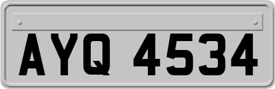 AYQ4534