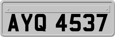 AYQ4537