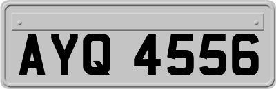 AYQ4556