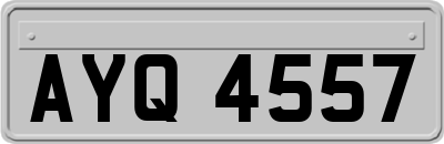 AYQ4557