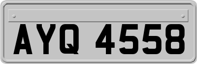 AYQ4558