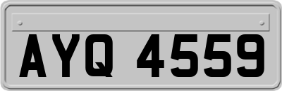 AYQ4559