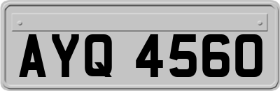 AYQ4560