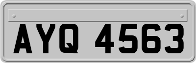 AYQ4563