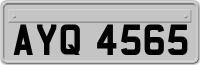 AYQ4565
