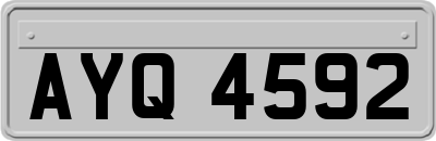 AYQ4592